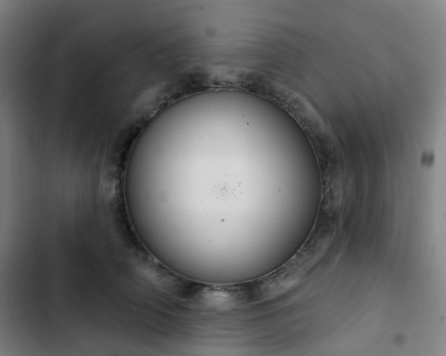 X0000103280706200809051531