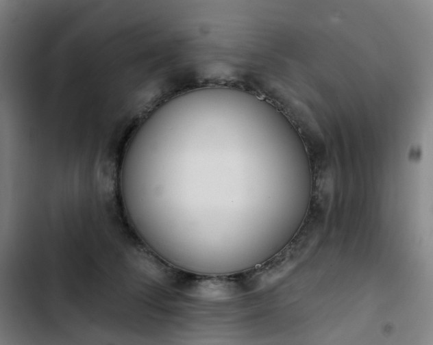 X0000103280708200809051531