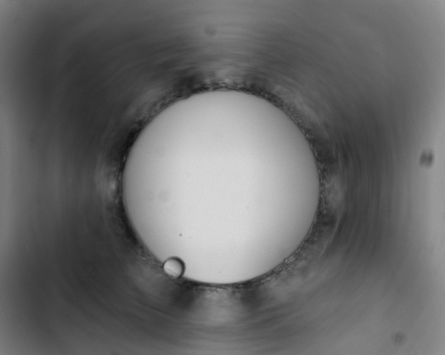 X0000103280709200809051531