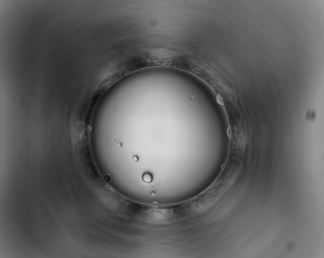 X0000103280711200809051531