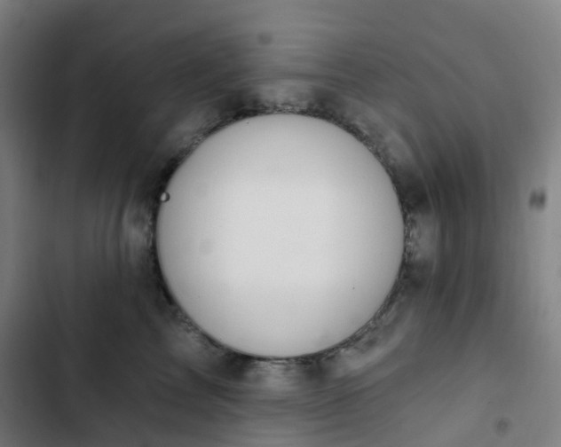 X0000103280713200809051531