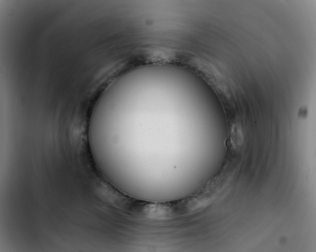 X0000103280714200809051531