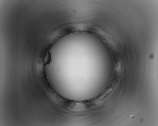 X0000103280715200809051531