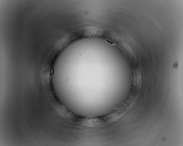 X0000103280716200809051531