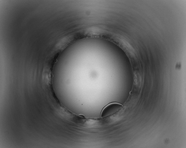 X0000103280718200809051531