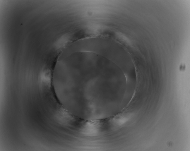 X0000103280720200809051531