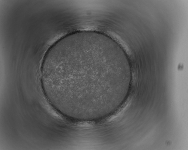 X0000103280721200809051530