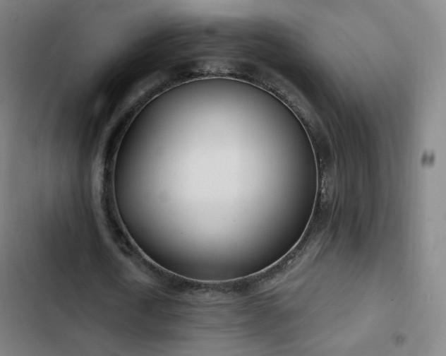 X0000103280722200809051530