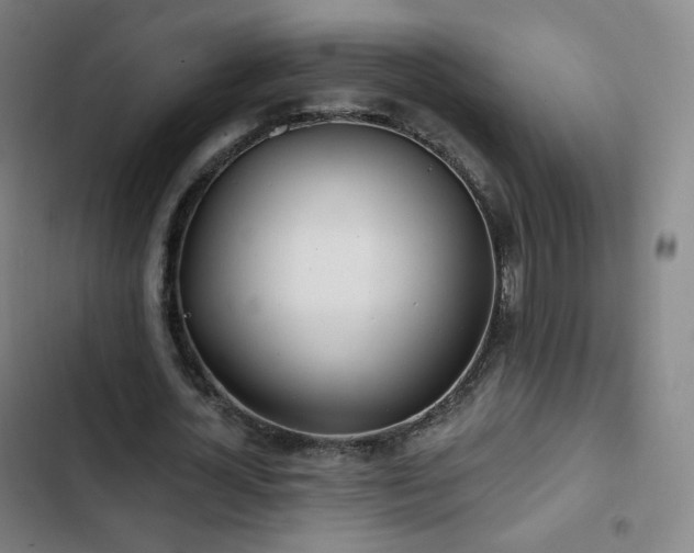 X0000103280724200809051530