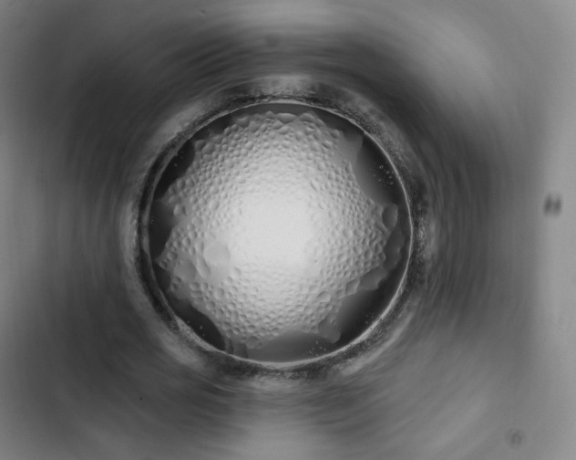 X0000103280725200809051530