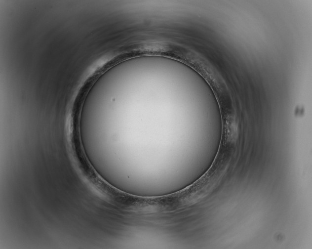 X0000103280726200809051530