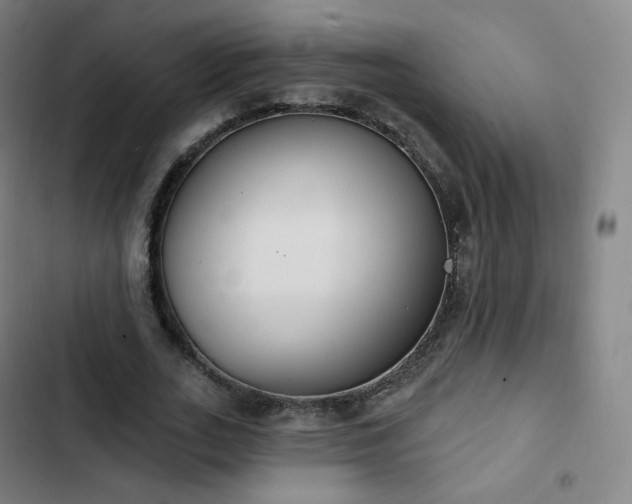 X0000103280727200809051530