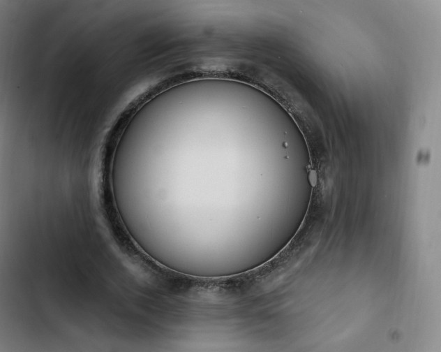 X0000103280728200809051530