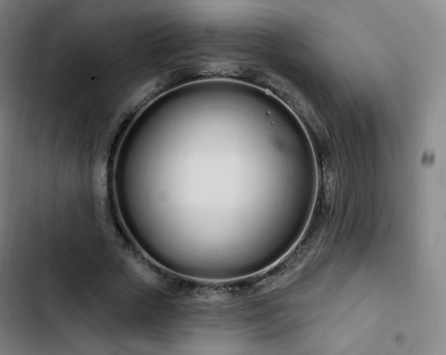 X0000103280729200809051530