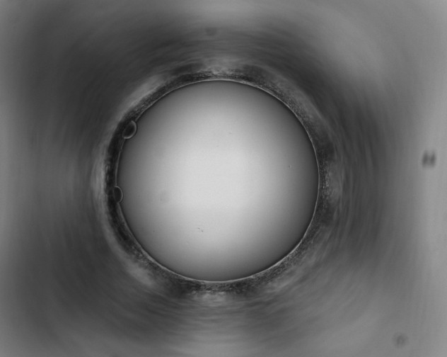 X0000103280730200809051530