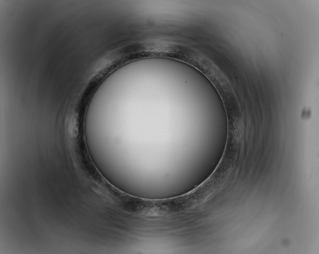 X0000103280731200809051530