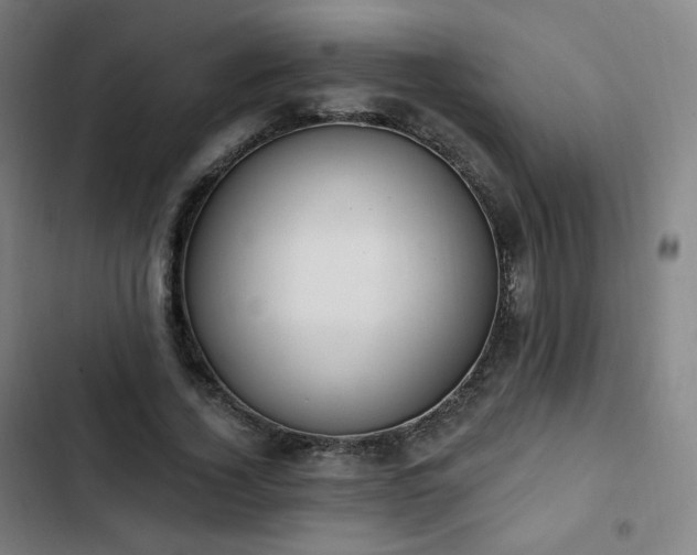 X0000103280732200809051530