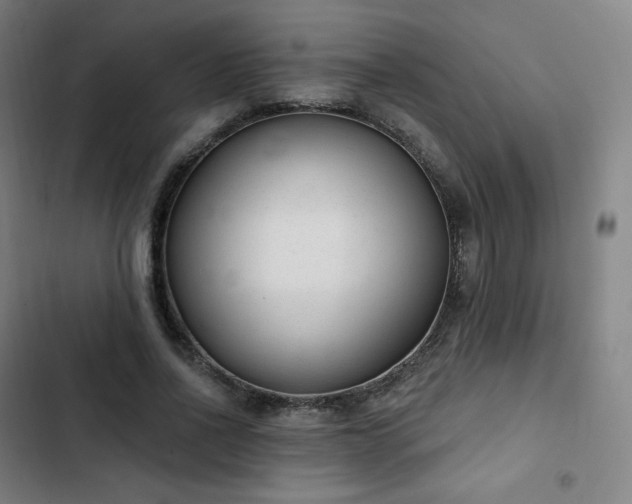 X0000103280734200809051530