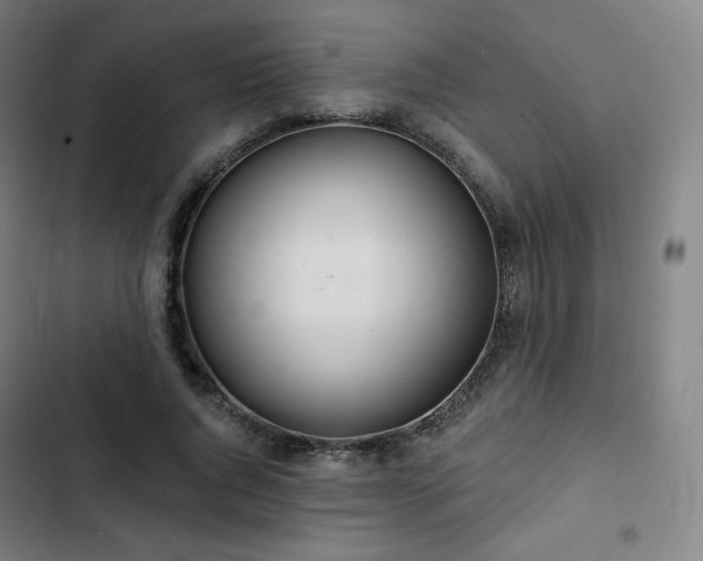 X0000103280736200809051530