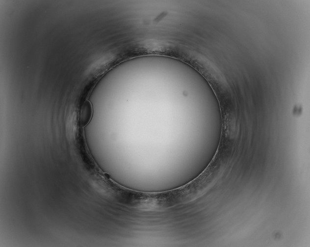 X0000103280740200809051530