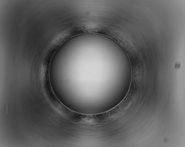 X0000103280742200809051530