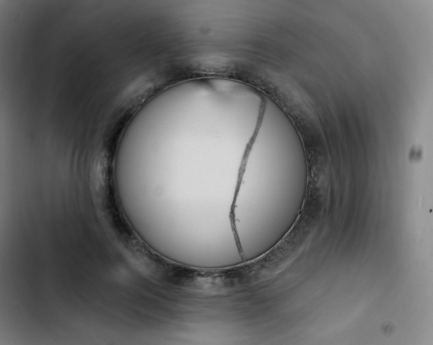 X0000103280744200809051530