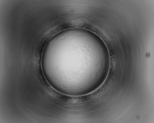 X0000103280745200809051530