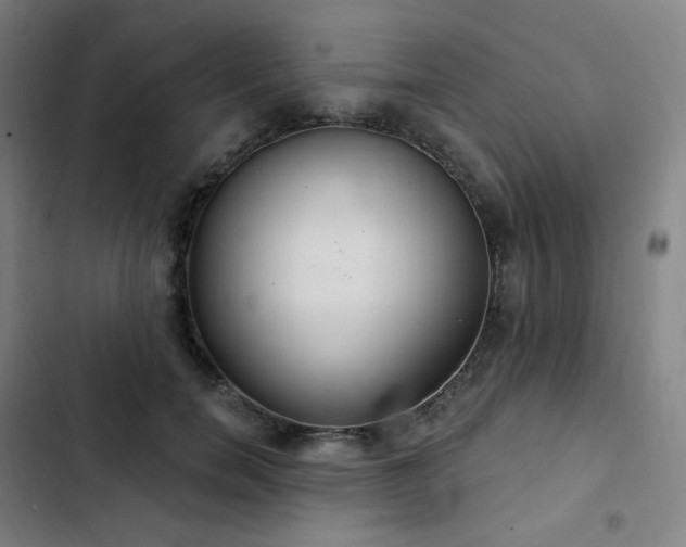 X0000103280750200809051530