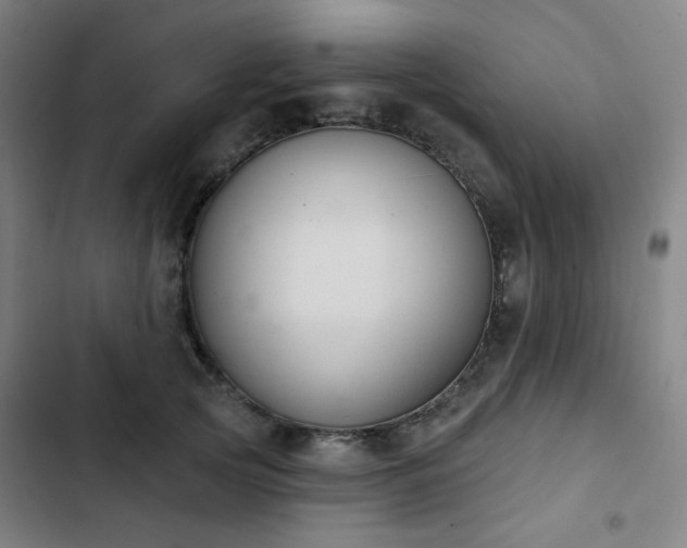 X0000103280753200809051530