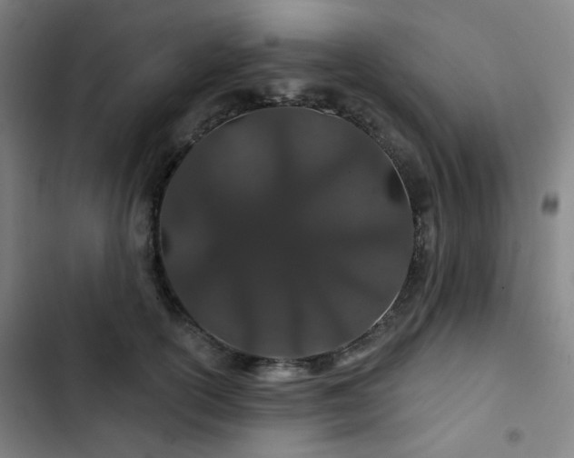 X0000103280754200809051530