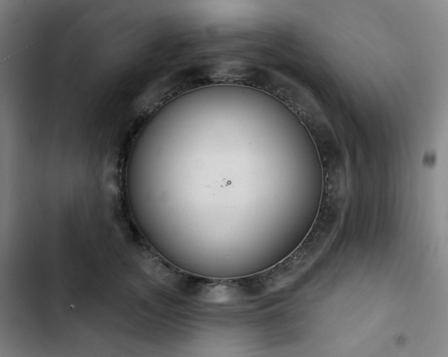 X0000103280755200809051530