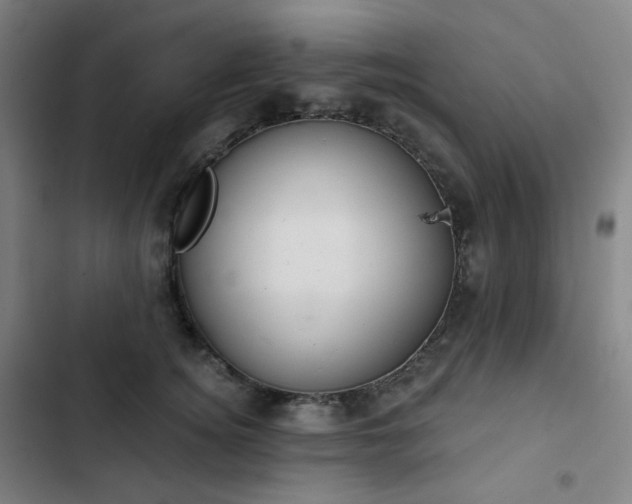 X0000103280756200809051530