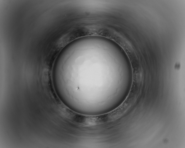 X0000103280757200809051530