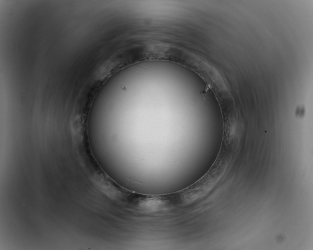 X0000103280759200809051530