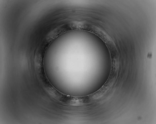 X0000103280760200809051530