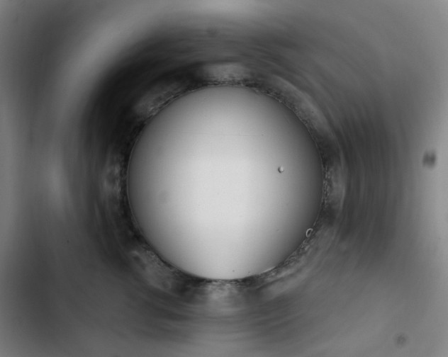 X0000103280762200809051530