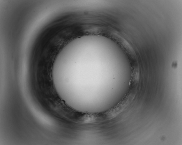 X0000103280764200809051530