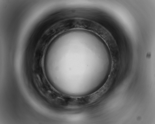 X0000103280765200809051530