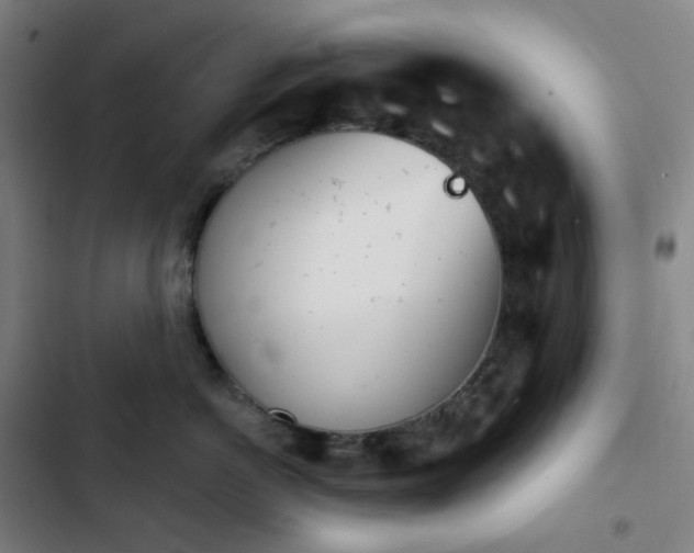 X0000103280766200809051530