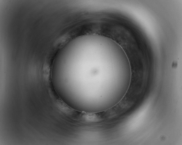 X0000103280767200809051531