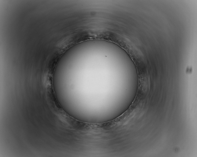 X0000103280770200809051530