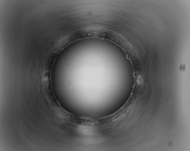 X0000103280771200809051530