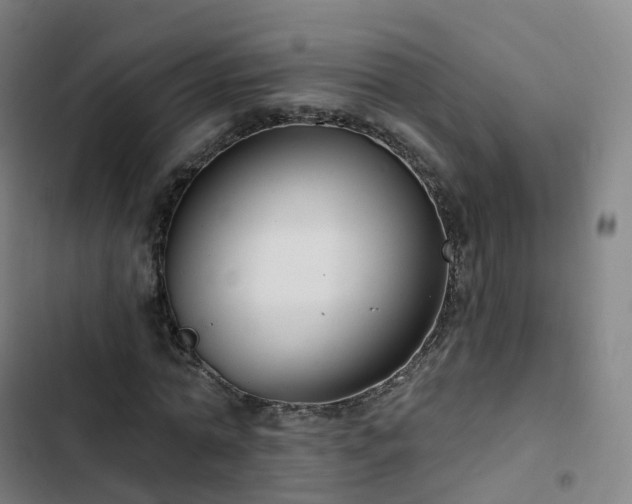 X0000103280774200809051530