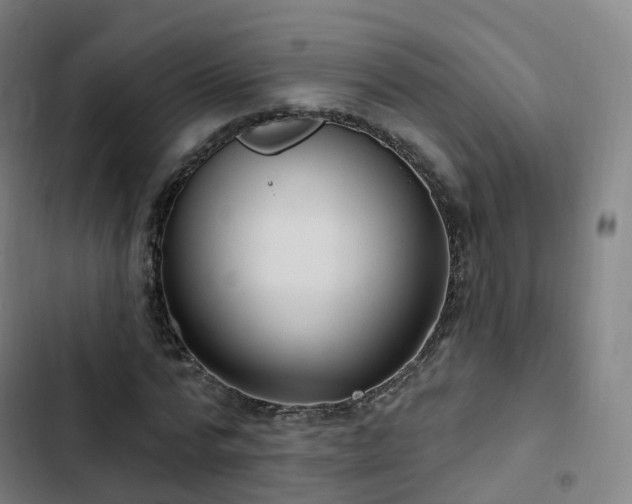 X0000103280776200809051530