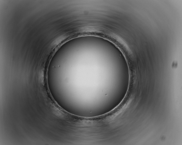 X0000103280777200809051530