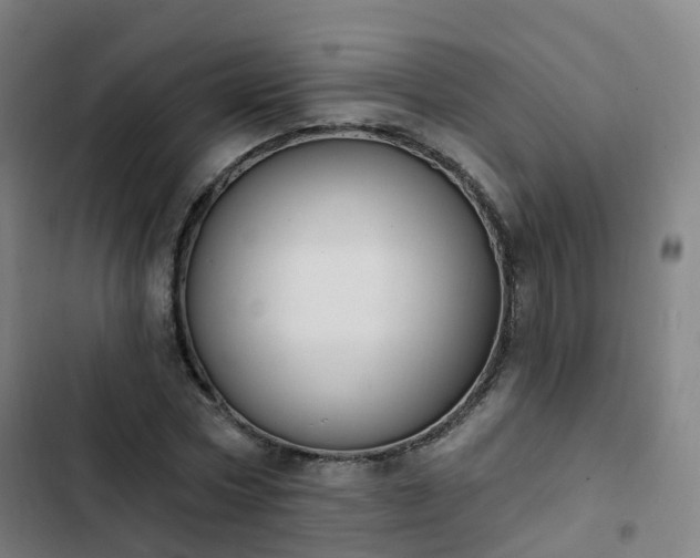 X0000103280778200809051530