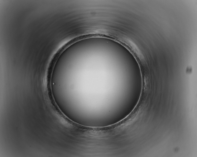 X0000103280780200809051530