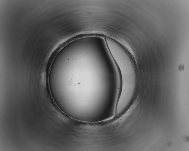 X0000103280781200809051530