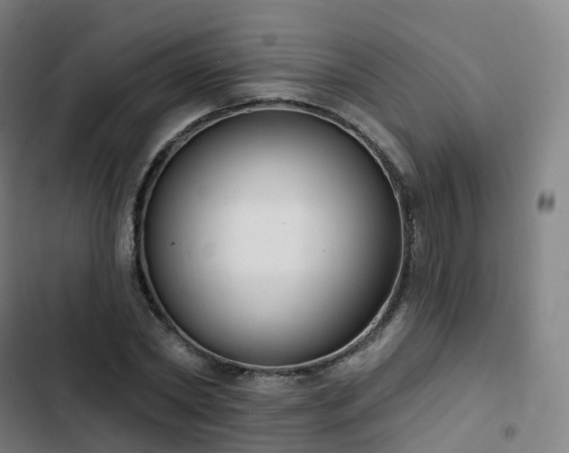 X0000103280782200809051530