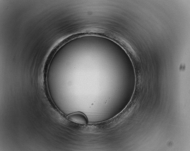 X0000103280784200809051530